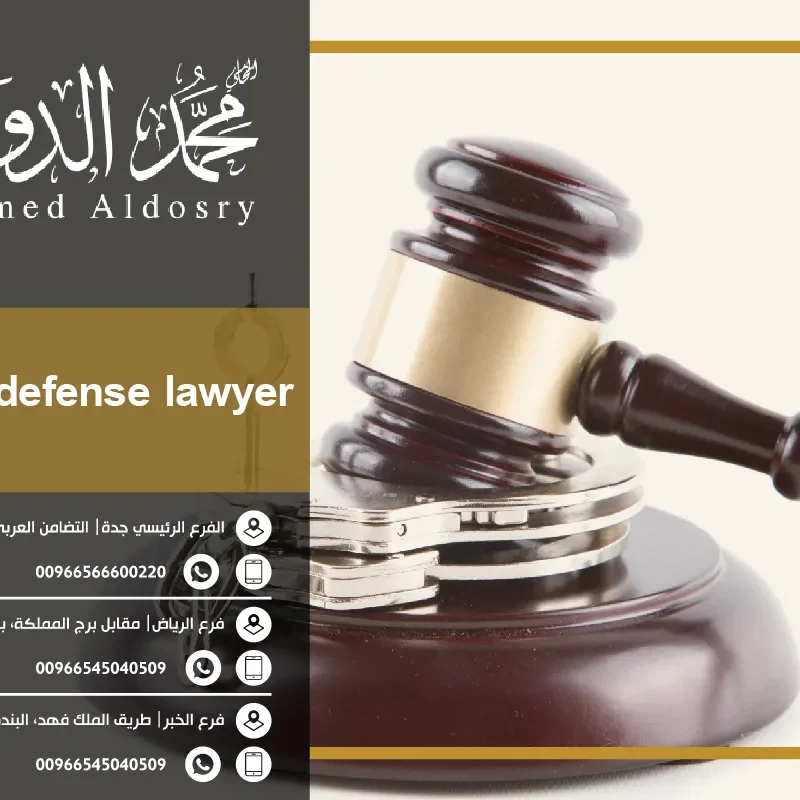 criminal defense lawyer