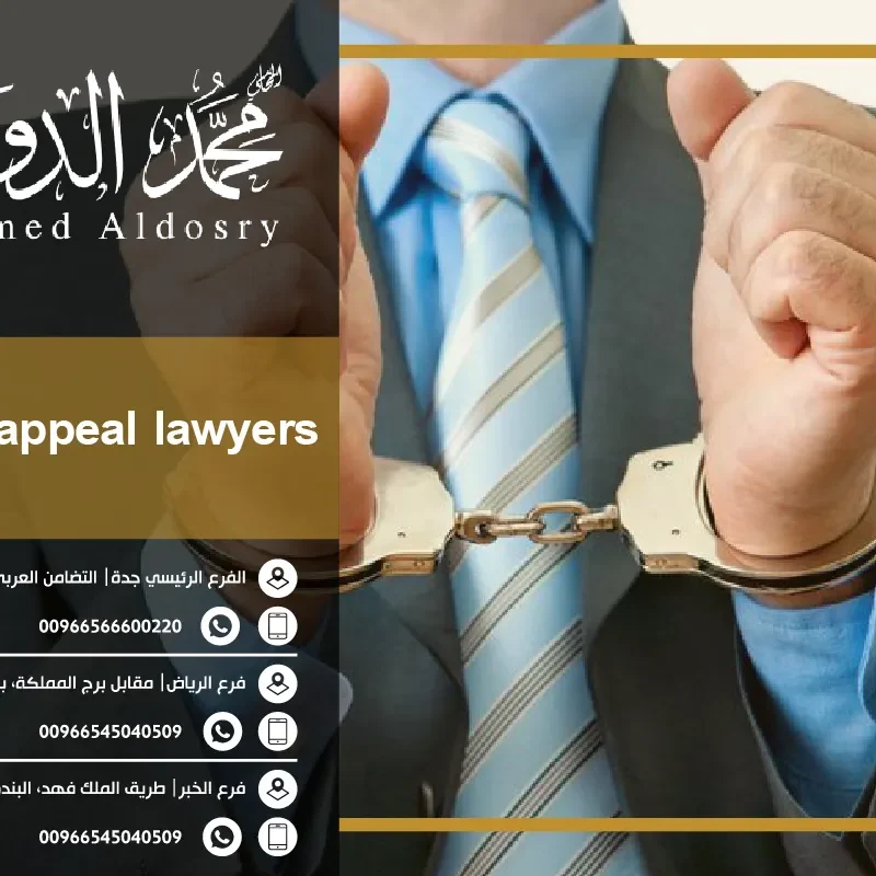 criminal appeal lawyers