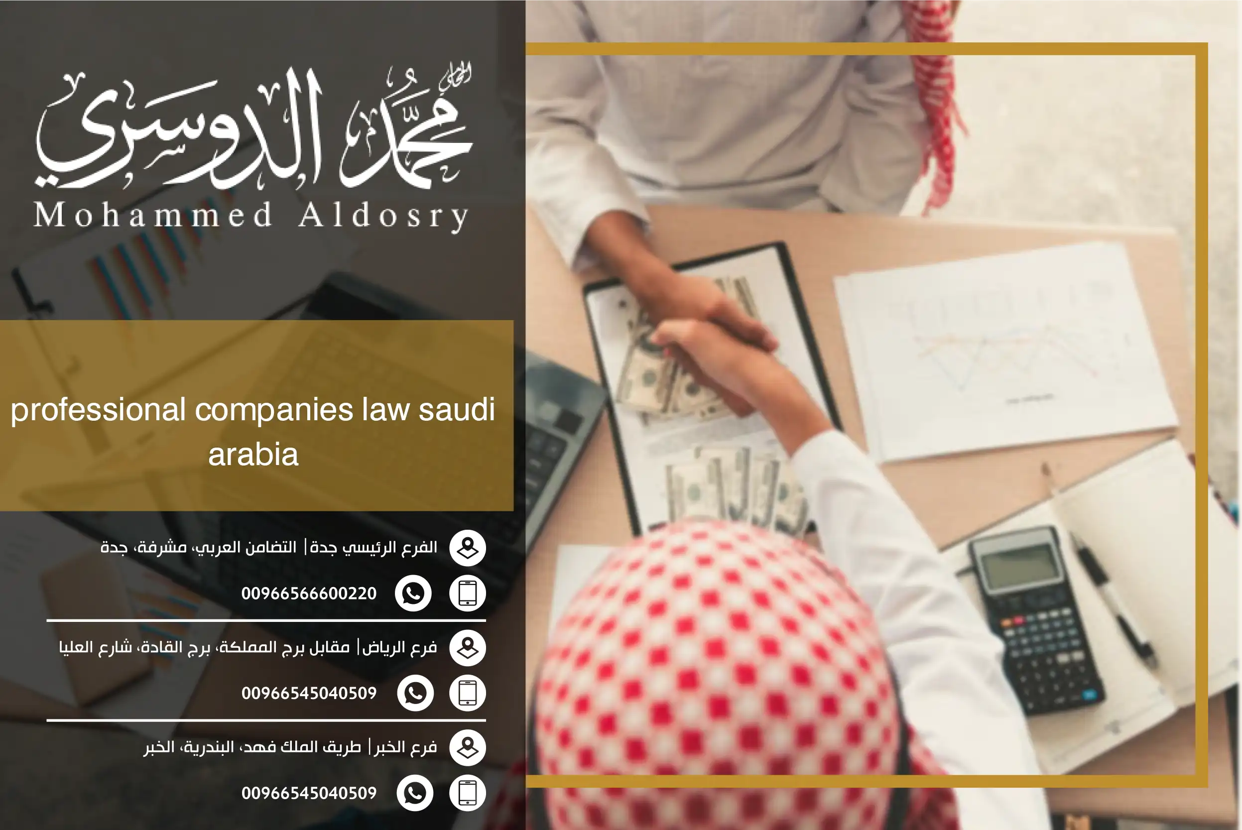 professional companies law saudi arabia